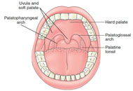 Symptoms of Oropharyngeal Cancer